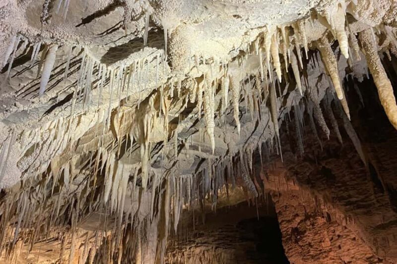 Private Day Tour: Waitomo Glowworms & Hobbiton Movie Set - Value and Price