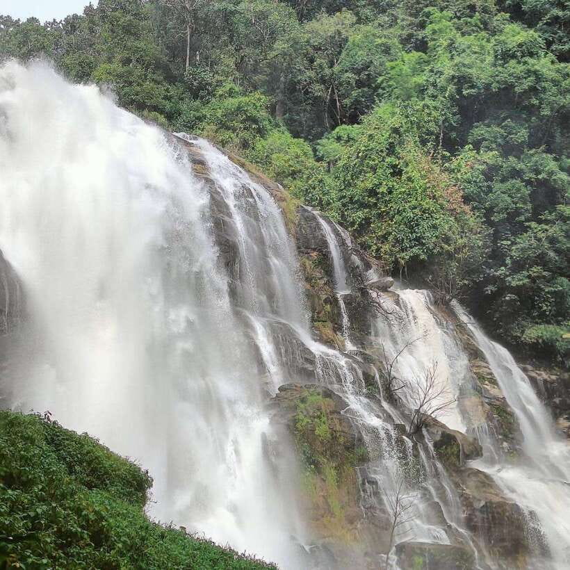 Private Day Trip Doi Inthanon, Trekking, Elephant Sanctuary - Trip Overview and Pricing