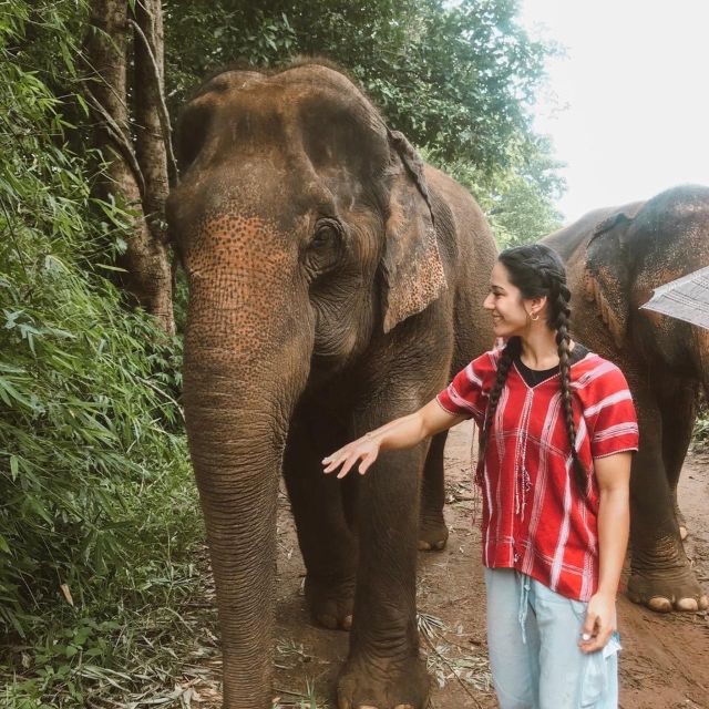 Private Day Trip Doi Inthanon, Trekking, Elephant Sanctuary - Pha Dok Siew Nature Trail