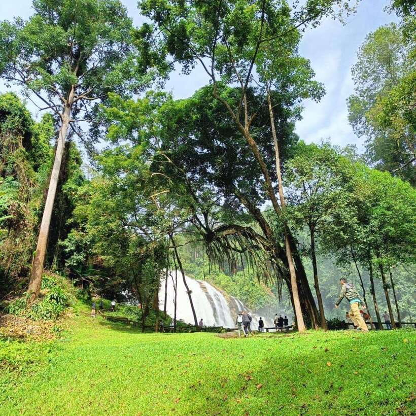 Private Day Trip Doi Inthanon, Trekking, Elephant Sanctuary - Elephant Sanctuary Experience
