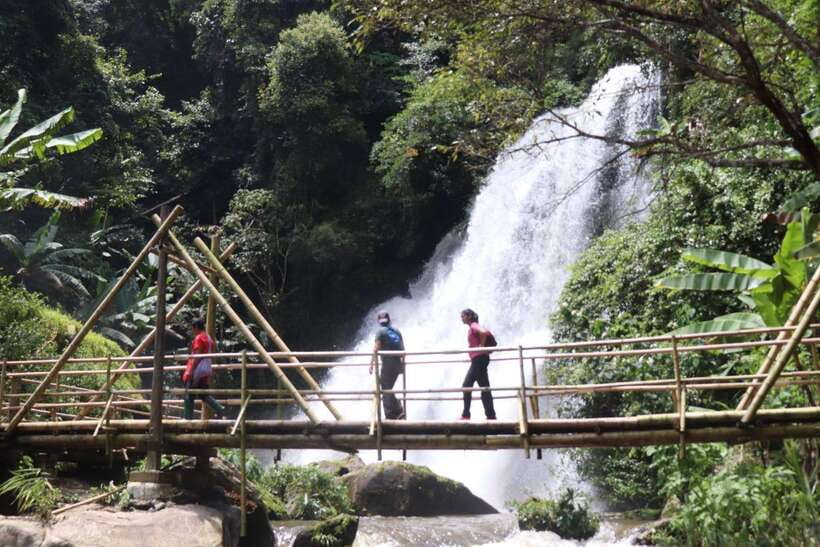 Private Day Trip Doi Inthanon, Trekking, Elephant Sanctuary - What to Bring and Recommendations