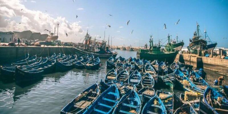 Private Day Trip From Marrakech to Essaouira - Travel Details and Itinerary