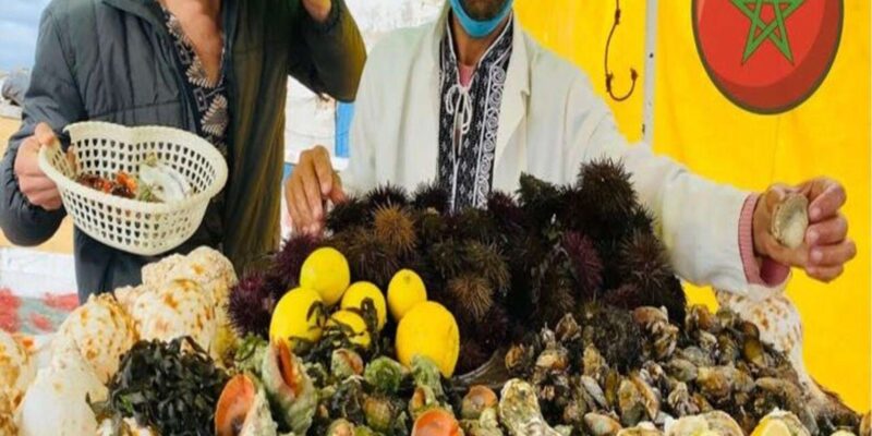 Private Day Trip From Marrakech to Essaouira - Discovering Essaouiras Highlights