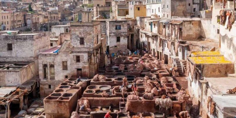 Private Day Trip From Meknes to Fez With Officiel Guide - UNESCO World Heritage Site of Fez
