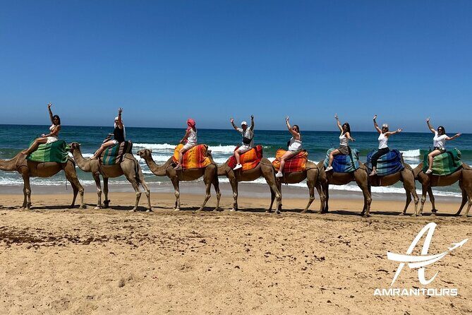 Private Day Trip from Seville to Tangier All Inclusive - Key Points