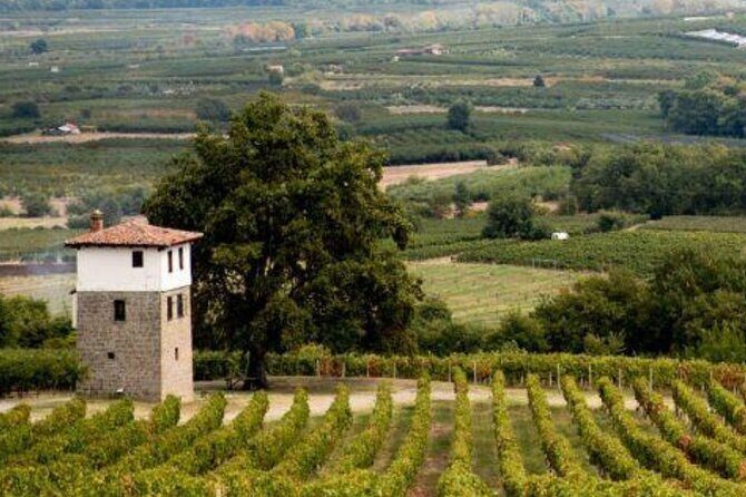 Private Day Trip from Thessaloniki to Vergina, Naousa, and Edessa - FAQs