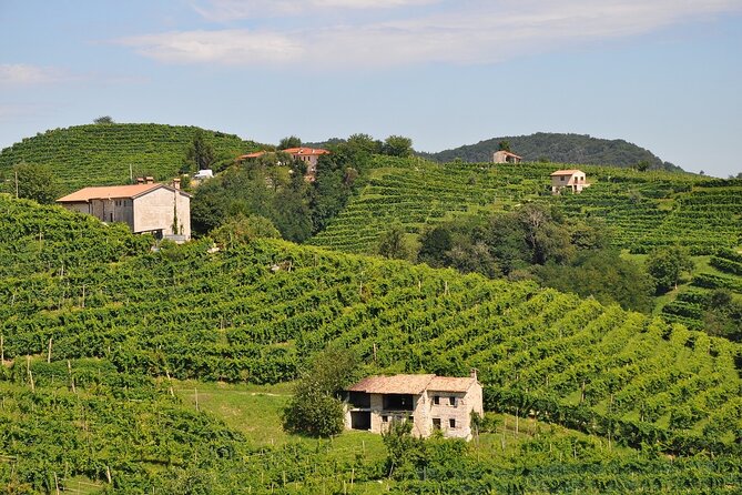 Private Day Trip From Venice To Prosecco and Miramare Castle - Transportation and Accessibility