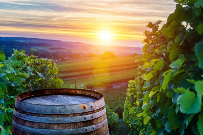 Private Day Trip From Vienna to Lednice, Valtice and Mikulov - Attraction Ticket Information
