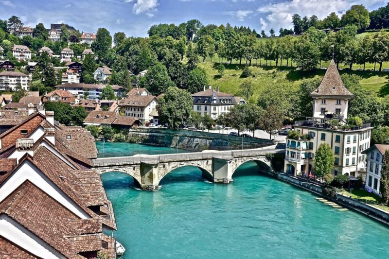 Private Day Trip: Interlaken to the Capital, Bern & Lausanne - Driver Information