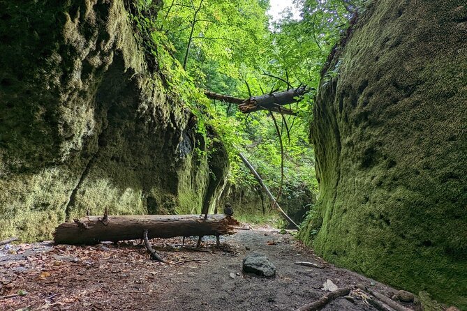 Private Day Trip of Lake Shikotsu and Moss Canyon - Cancellation and Refund Policy