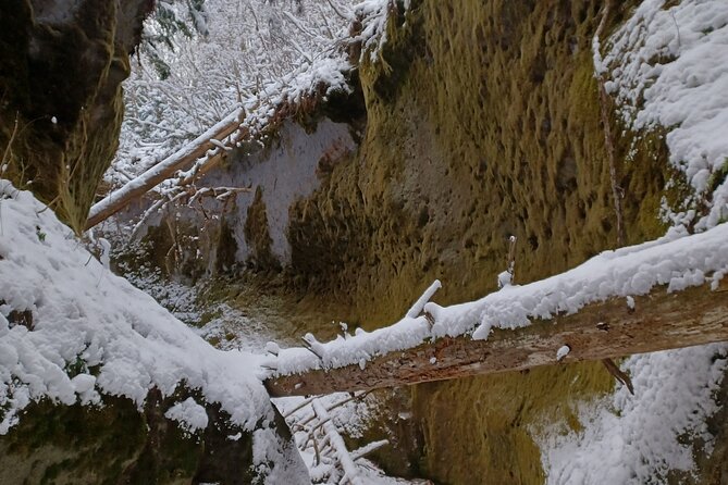 Private Day Trip of Lake Shikotsu and Moss Canyon - Lake Shikotsu: Exploring the Volcanic Lake