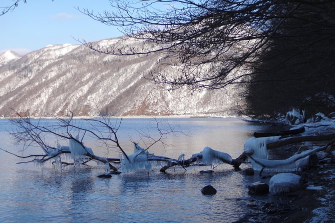 Private Day Trip of Lake Shikotsu and Moss Canyon - Moss Canyon: Taking in Natures Wonders
