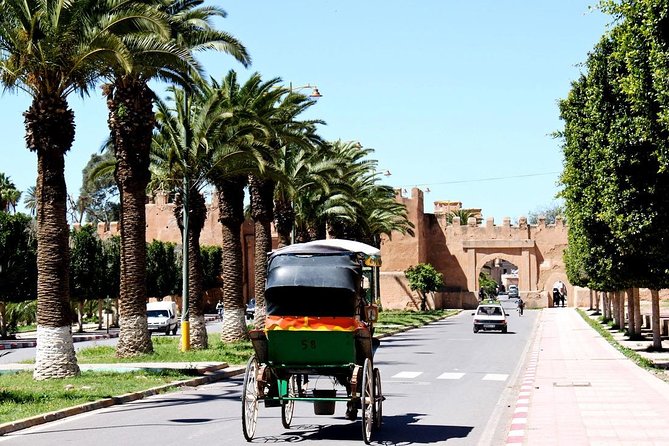 Private Day Trip of Taroudant & Tiout From Agadir - Highlights of Taroudant