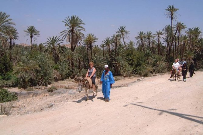 Private Day Trip of Taroudant & Tiout From Agadir - Tips for Travelers