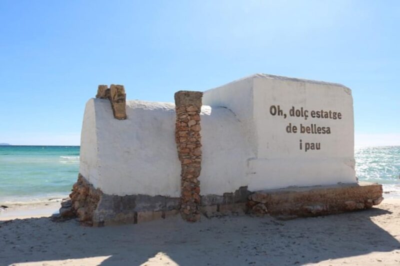 Private Day Trip Palma Bay - Es Trenc - Boat Options