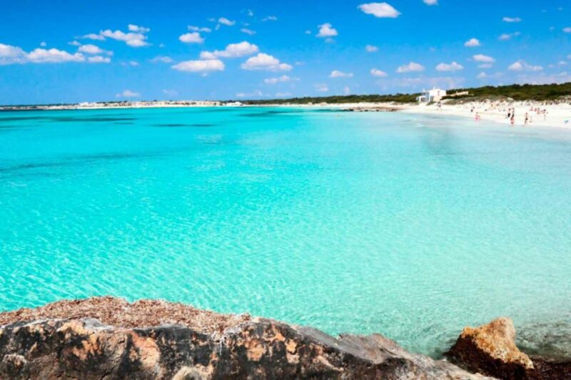 Private Day Trip Palma Bay - Es Trenc - Language and Communication