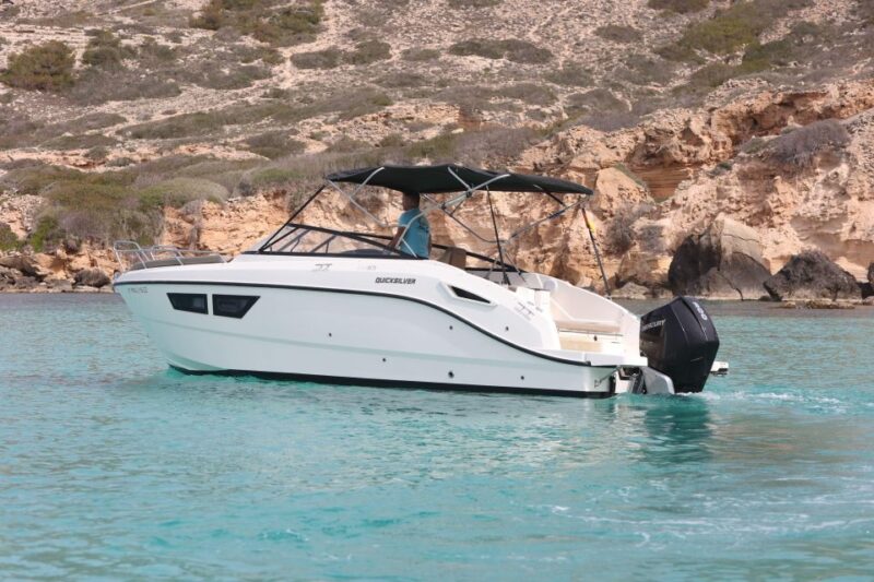 Private Day Trip Palma Bay - Tour Highlights