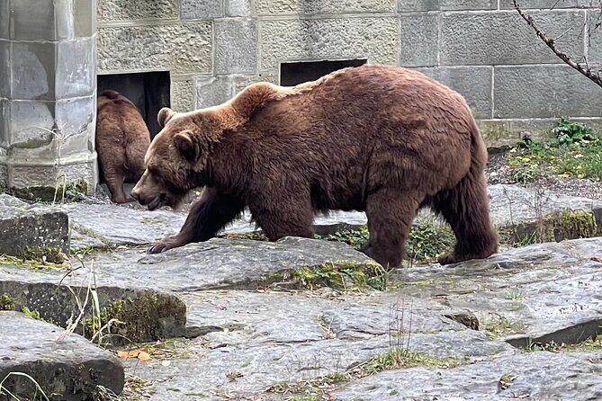 Private day trip to Bern from Geneva - An In-Depth Look at the Bern Day Trip