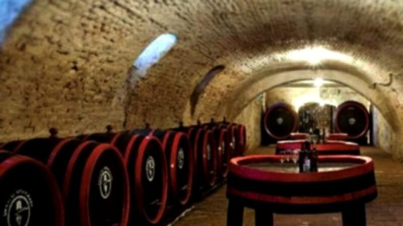 Private Day Trip to Bosnia: Wine, Culture & Local Lunch - Final Thoughts
