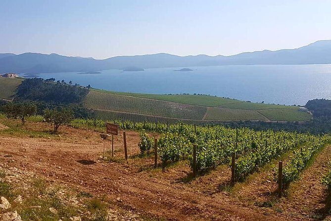 Private Day Trip to Dubrovnik from Split - The Sum Up