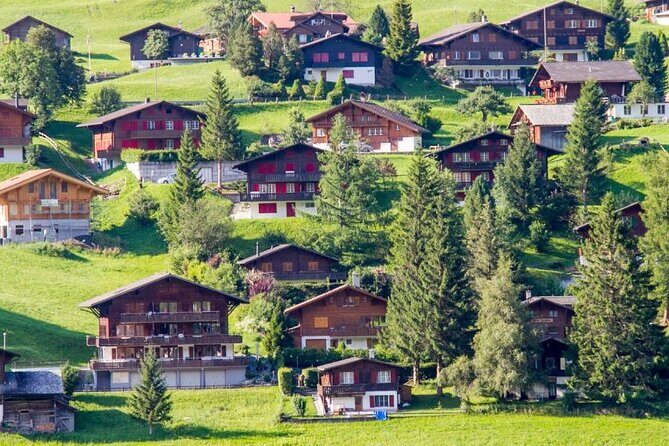 Private Day Trip to Harder Kulm and Grindelwald - Final thoughts