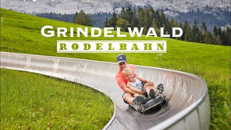 Private Day-Trip to Interlaken, Grindelwald & Lauterbrunnen - Key Points