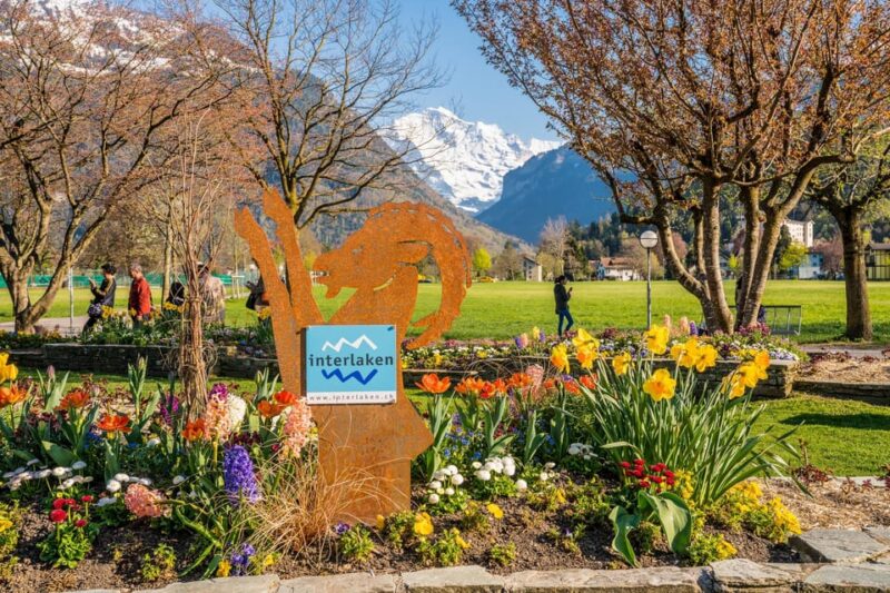 Private Day-Trip to Interlaken, Grindelwald & Lauterbrunnen - Highlights and Activities