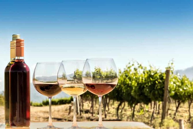 Private Day Trip to Kakheti Wine Region Including Wine Tasting - About the Tour Operator