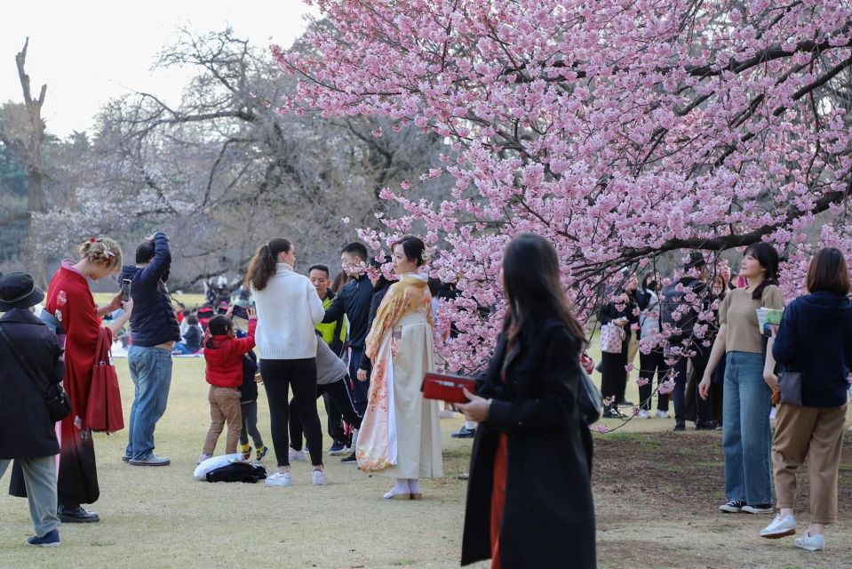 Private Day Trip to Mt. Fuji & Hakone Cherry Blossoms - Optional Visits in Hakone