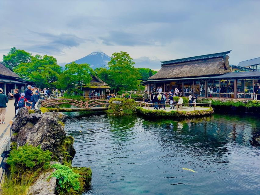 Private Day Trip to Mt. Fuji & Hakone Cherry Blossoms - Gotemba Premium Outlets
