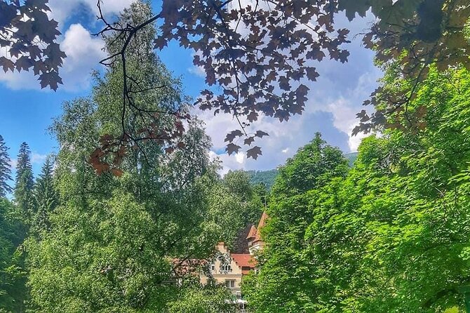 Private Day Trip to Peles Palace, Draculas Castle and Brasov - Pick-up and Schedule Information