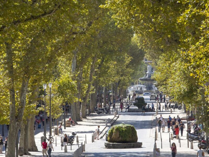 Private Day Trip to Provence and Lavender Fields - Pricing and Inclusions
