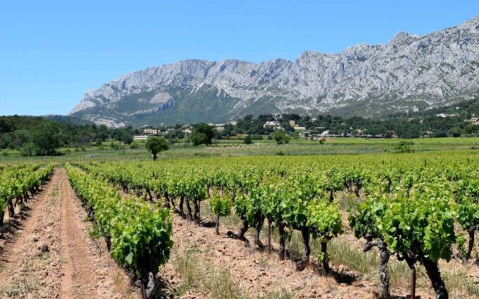 Private Day Trip to Provence and Lavender Fields - Frequently Asked Questions