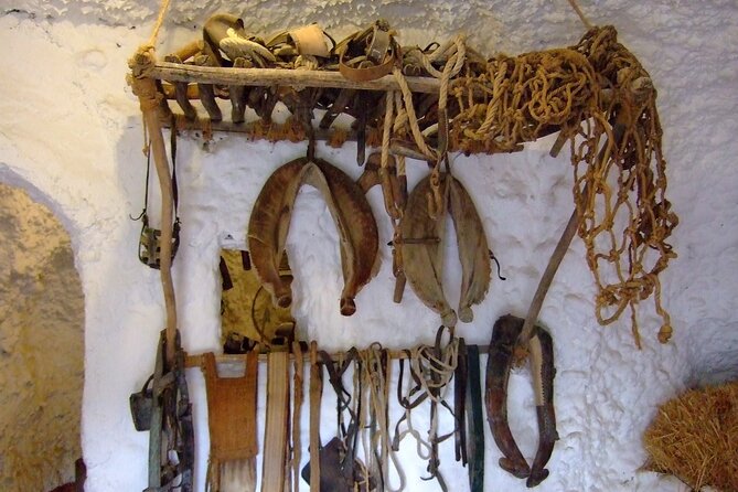 Private Day Trip to Sacromonte Caves From Granada With a Local - What to Expect on the Tour