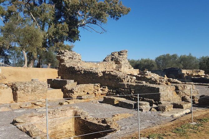 Private Day Trip to Sparta from Kalamata (Price per Group) - The Sum Up: Who Is This Tour Best For?