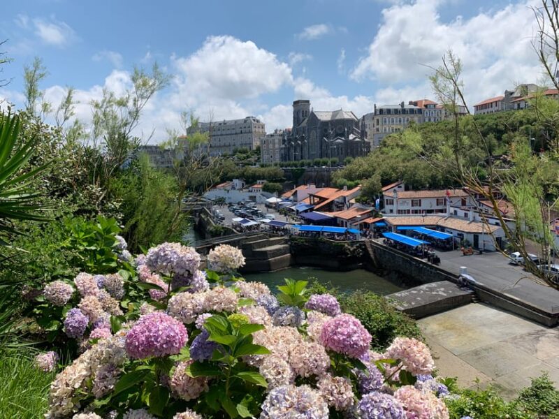 Private Day Trip to the French Basque Country - Customer Feedback