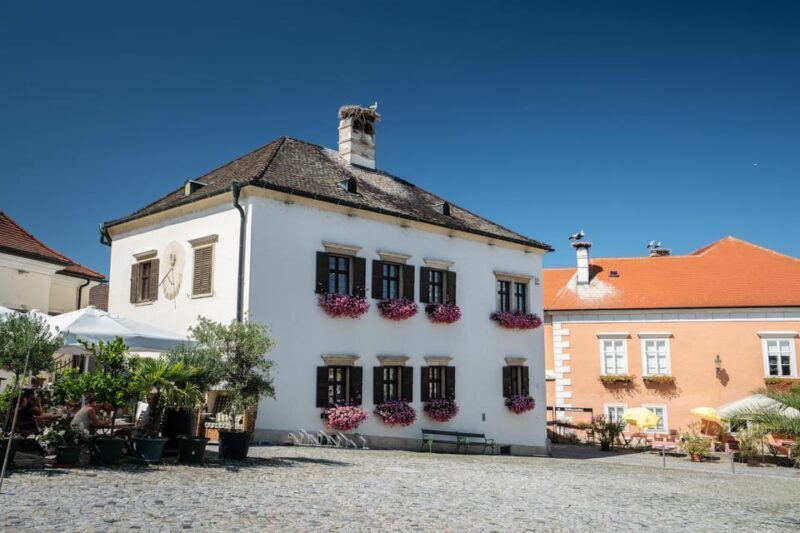 Private Day Trip to Viennese Countryside with Wine Tasting - An Authentic Taste of Austria’s Eastern Borderlands