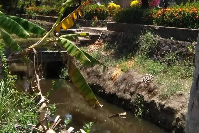 Private Day Trip to Visit MY LAI MASSACRE From Hoi an or Da Nang City - Customer Reviews