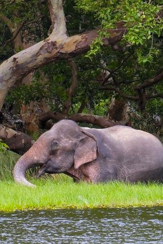 Private Day Trip to Wilpaththu National Park From Colombo - Inclusions and Amenities