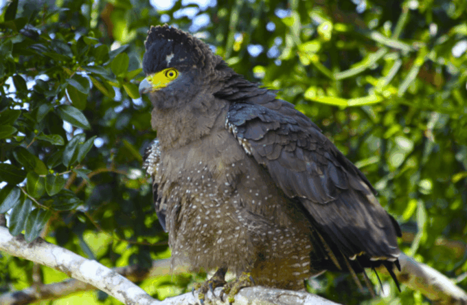 Private Day Trip to Wilpaththu National Park From Colombo - Pickup and Transportation