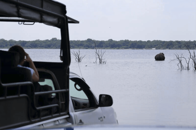 Private Day Trip to Wilpaththu National Park From Colombo - Meal and Refreshment