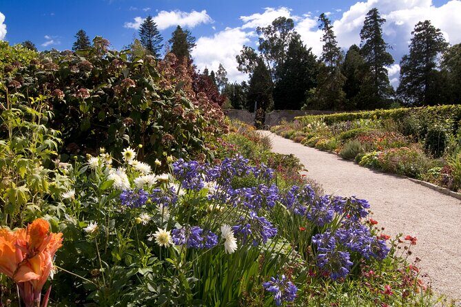 Private Day Trips from Dublin - Sheep Dog Demo & Glendalough - The Value for Your Money