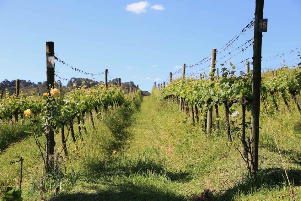Private Daytour - Gramado and Cinnamon Leaving Porto Alegre - Accessibility Options