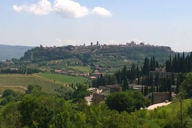 Private daytour Tuscany from Roma or Civitavecchia port - FAQs