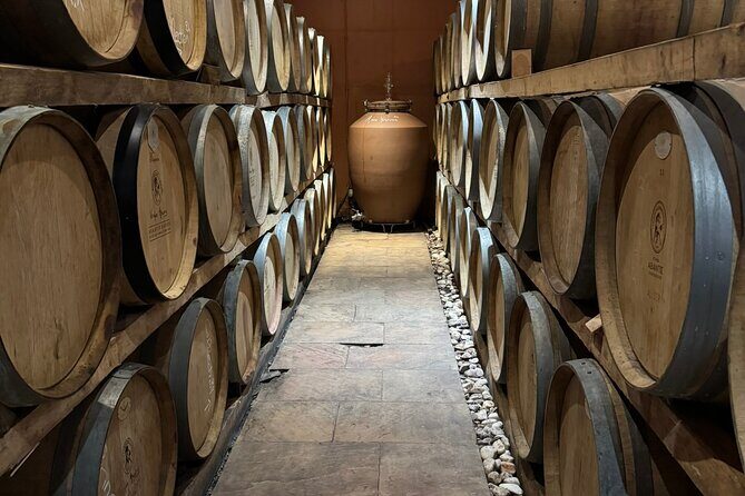 Private Daytrip for Truffle Mushroom Foraging and Wine Tasting - Final Thoughts on the Value