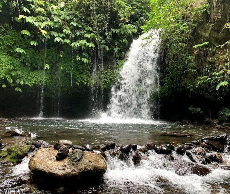 private daytrip:jatiluwih,purification ceremony,waterfalls - The Sacred Purification Ceremony at Taman Beji Kedatuan Raksa Sidhi