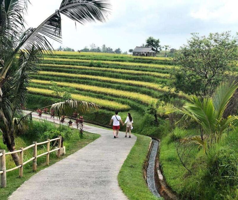 private daytrip:jatiluwih,purification ceremony,waterfalls - The Sum Up: Balancing Beauty, Culture, and Spirituality