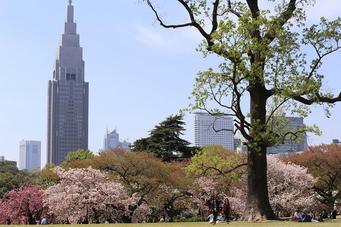 Private Departure Transfer : Central Tokyo City to Narita International Airport - Safety and Hygiene Measures