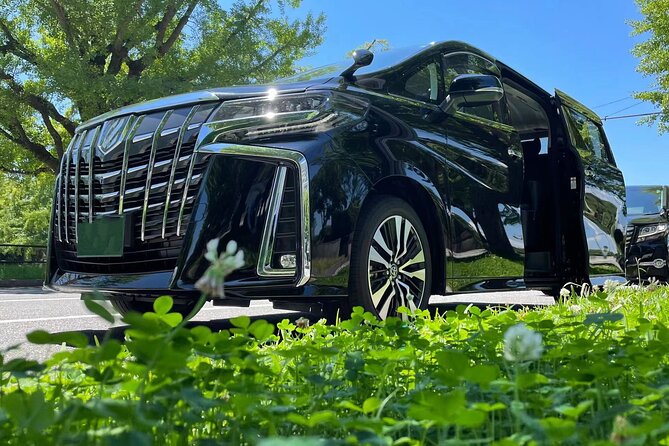 Private Departure Transfer From Central Osaka City to Itami Airport (Itm) - Pickup and Drop-off Locations