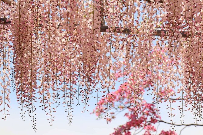 Private Departure Transfer From Kyoto City to Kansai International Airport - Accessibility and Accommodations